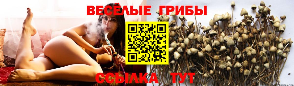 Псилоцибиновые грибы MAGIC MUSHROOMS Владивосток